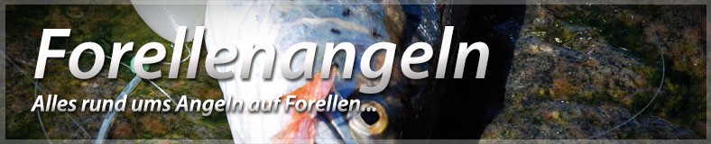 Forellenangeln